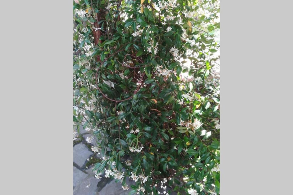 Irinis Cottage Kala Nera Ngoại thất bức ảnh